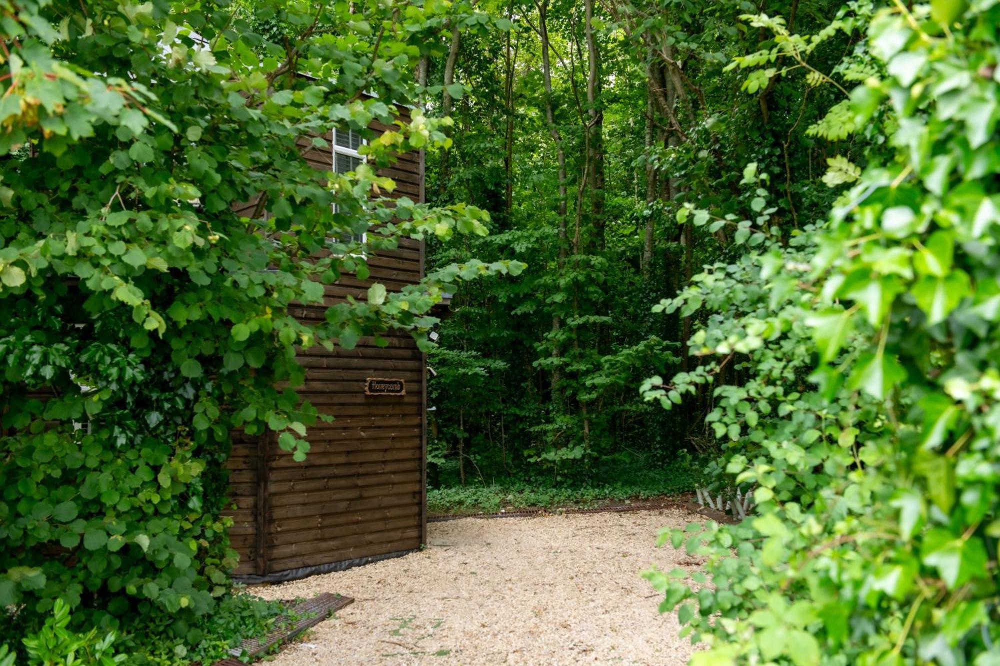 Honeycombe - Treehouse In The Heart Of Dorset Villa Blandford Forum Dış mekan fotoğraf
